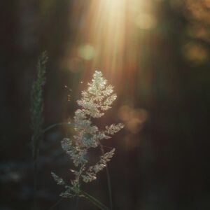Illustration symbolique pour apprendre à méditer au quotidien, et vivre l'instant présent en pleine conscience