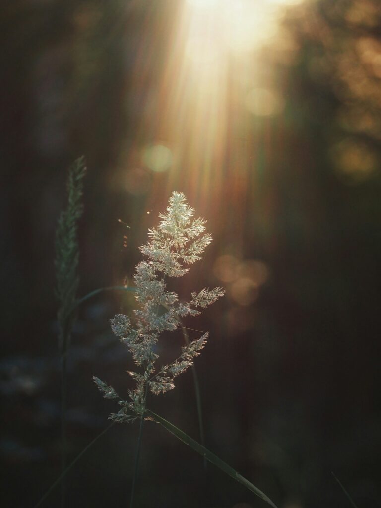 Illustration symbolique pour apprendre à méditer au quotidien, et vivre l'instant présent en pleine conscience
