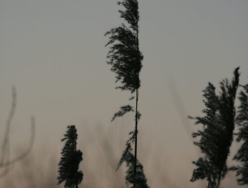 illustration symbolique de l'instant présent, vivre en pleine conscience et profiter des bienfaits de la méditation