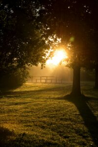 etre soi authentique libre, confiance en soi, oser etre soi, estime de soi, apprendre à s'aimer