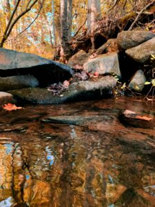 chemins d'ame. stages, ateliers pour les femmes en ligne. confiance en soi, développement personnel, hypnose