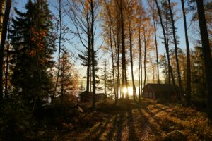 ateliers, stages de développement personnel en ligne et en bourgogne. Cécile Flaceliere psychologue